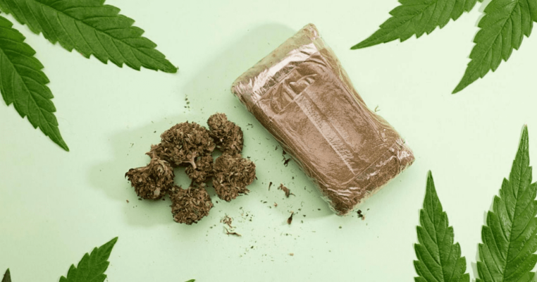 Hash vs Weed: What is the Difference Between Hashish and Cannabis Flowers?